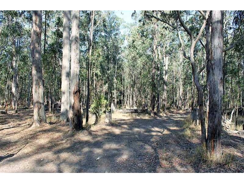 Lot 139 Chain O Ponds Road, Collombatti NSW 2440