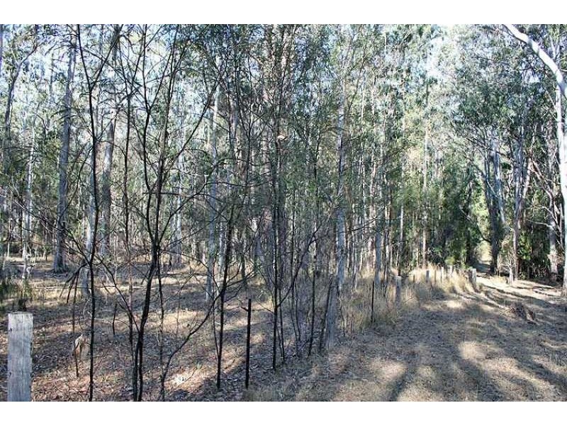 Lot 139 Chain O Ponds Road, Collombatti NSW 2440