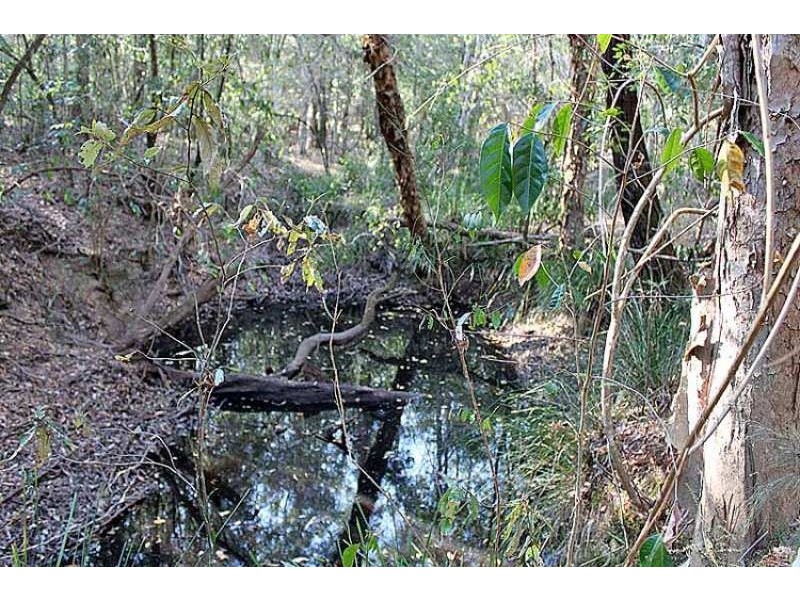 Lot 139 Chain O Ponds Road, Collombatti NSW 2440