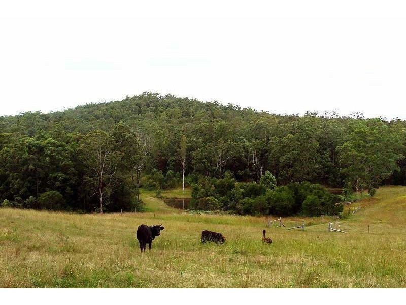 34 Cedar Crossing Road, Collombatti NSW 2440