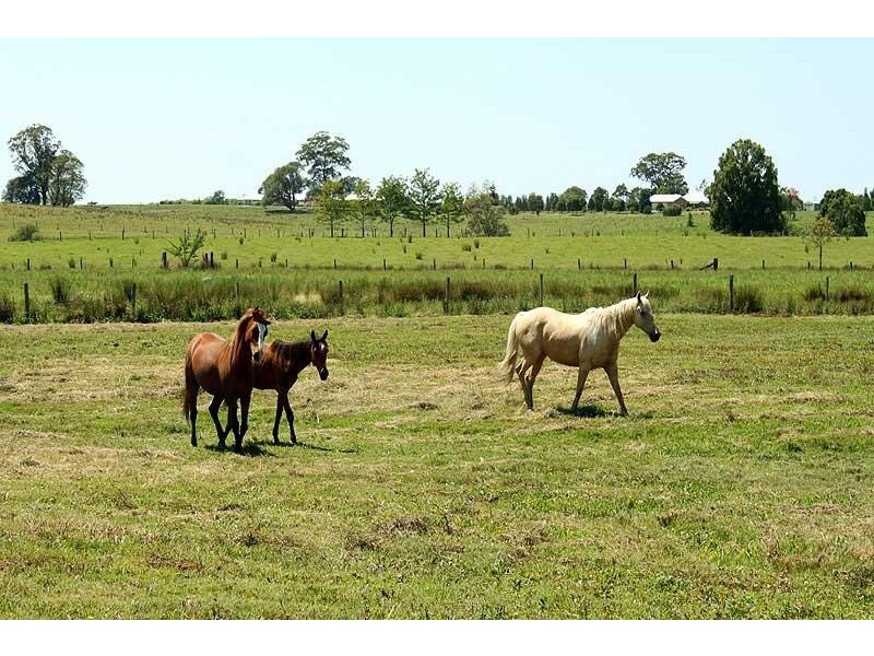 24 McPhillips Place, Greenhill NSW 2440