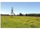 193 Boyters Lane, Jerseyville NSW 2431