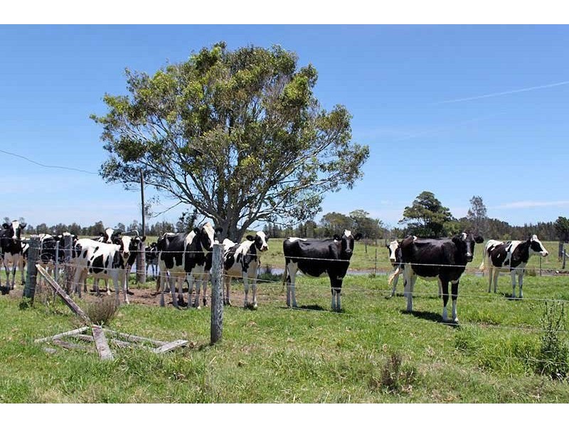 193 Boyters Lane, Jerseyville NSW 2431