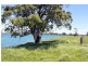 193 Boyters Lane, Jerseyville NSW 2431