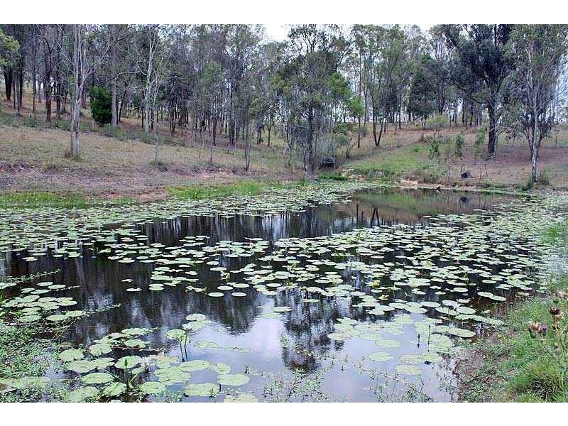 255 Yessabah Road, Yessabah NSW 2440