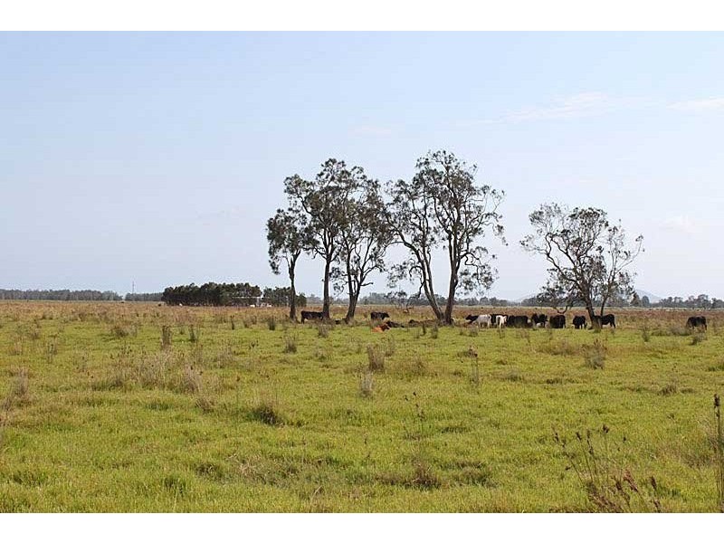 Lot 10/Lot 258 Left Bank Road, Kinchela NSW 2440