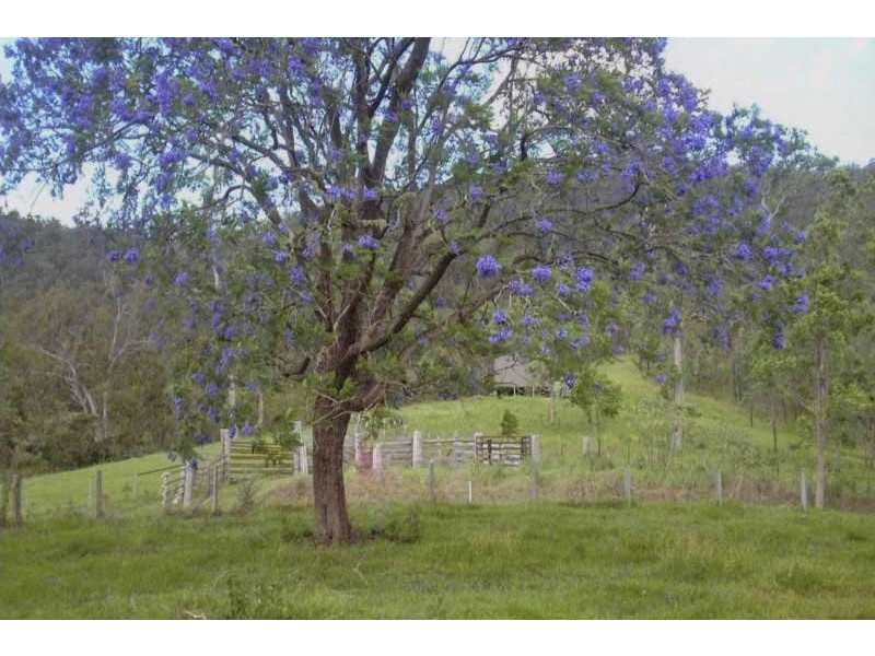 7380 Armidale-Kempsey Road, Lower Creek NSW 2440