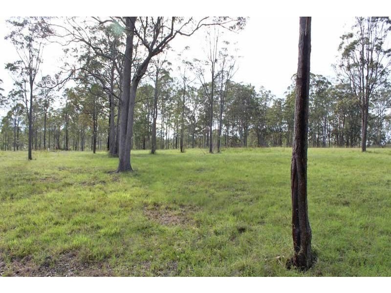 Lot 17 Frederick Dyson Close, Yarravel NSW 2440