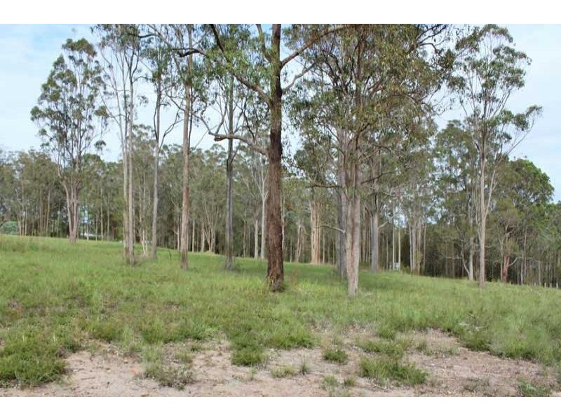Lot 17 Frederick Dyson Close, Yarravel NSW 2440