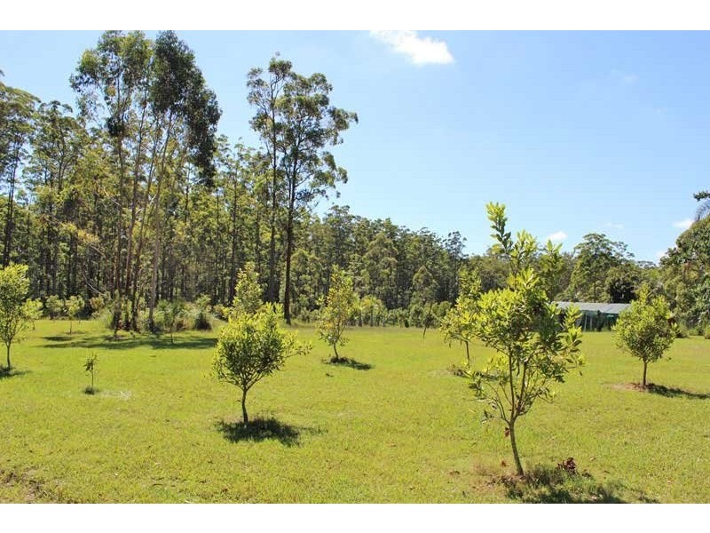 403 Battersons Lane, Collombatti NSW 2440