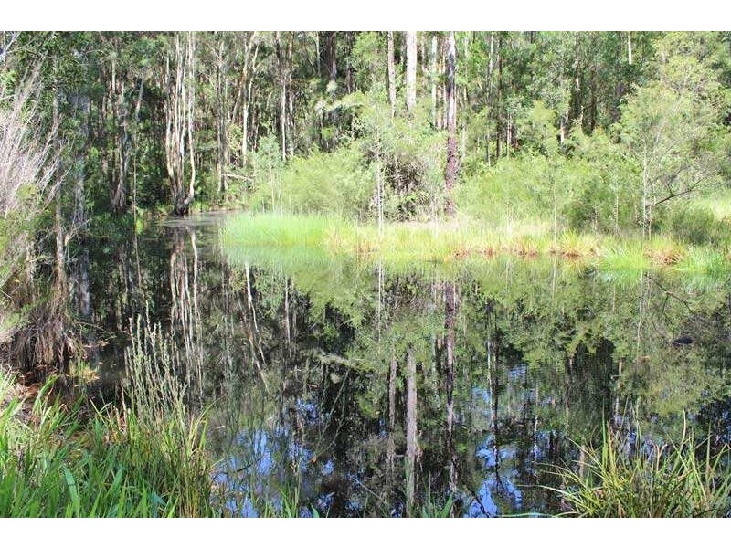 403 Battersons Lane, Collombatti NSW 2440