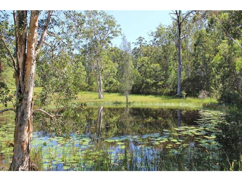 403 Battersons Lane, Collombatti NSW 2440