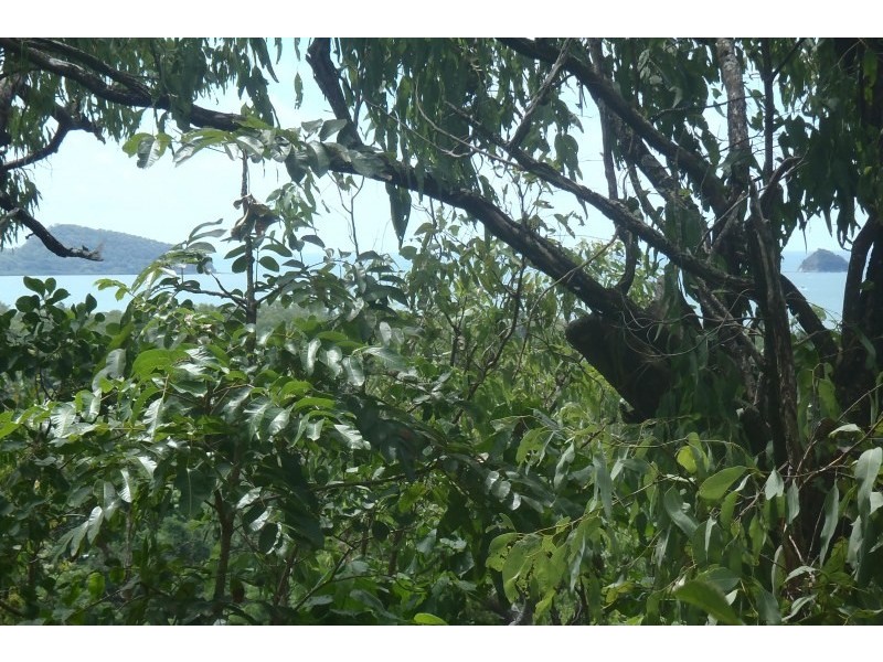 62-64 Ellison Street, Clifton Beach QLD 4879