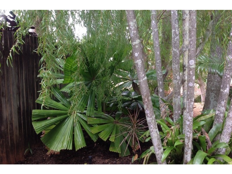 32 Cintra Street, Mount Sheridan QLD 4868