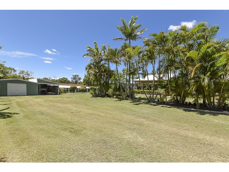 23 Swallow Street, Thornlands QLD 4164