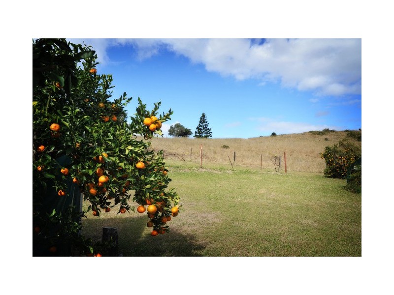 60 Radcliffe Road, Allandale QLD 4310