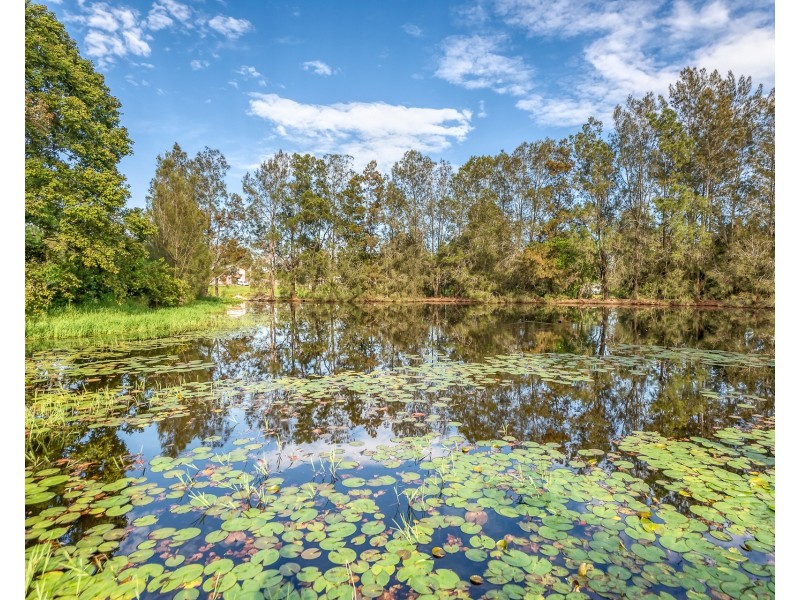 21 Easterly Street, Waterford QLD 4133