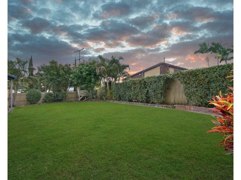 16 Coleman Crescent, Springwood QLD 4127