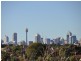 16/88 Petersham Road, Marrickville NSW 2204