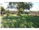Mudgee NSW 2850