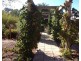 50 Broadhead, Mudgee NSW 2850