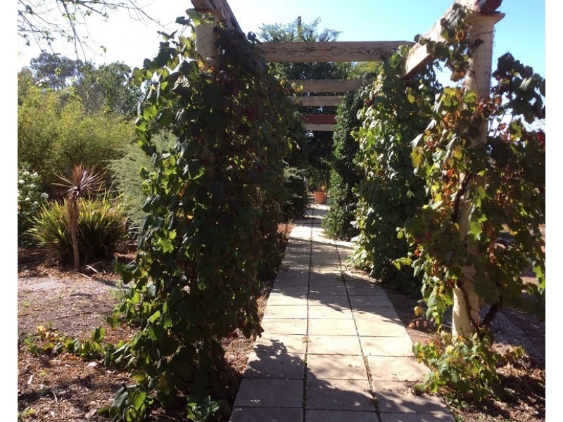 50 Broadhead, Mudgee NSW 2850