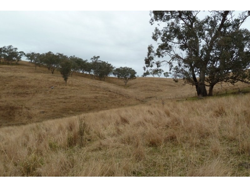Mudgee NSW 2850