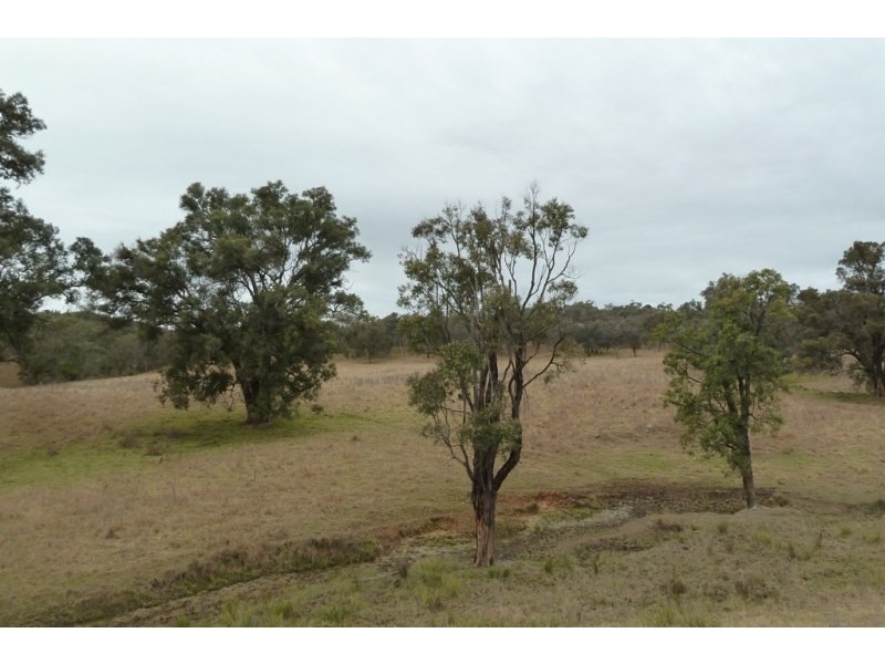Mudgee NSW 2850