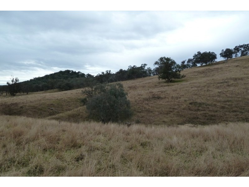Mudgee NSW 2850