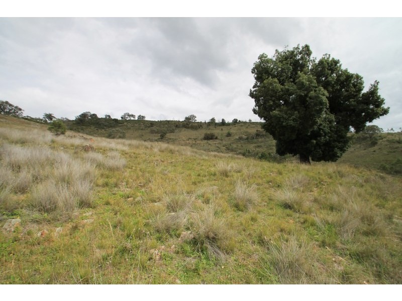 Mudgee NSW 2850