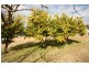 Mudgee NSW 2850