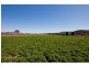 Mudgee NSW 2850