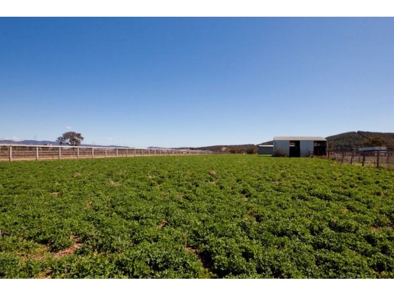 Mudgee NSW 2850