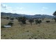 Mudgee NSW 2850