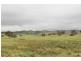 Mudgee NSW 2850