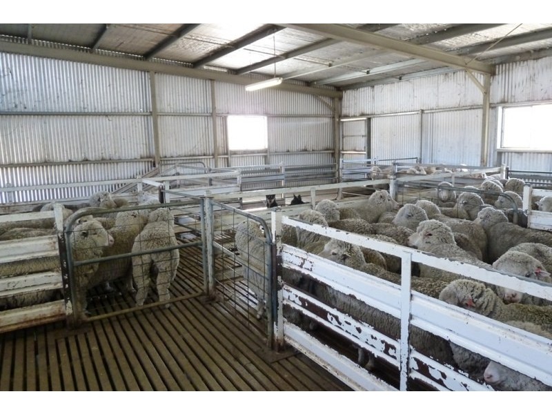 Mudgee NSW 2850