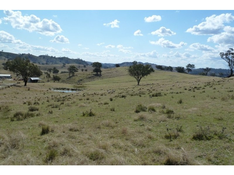 Mudgee NSW 2850