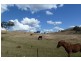 Mudgee NSW 2850