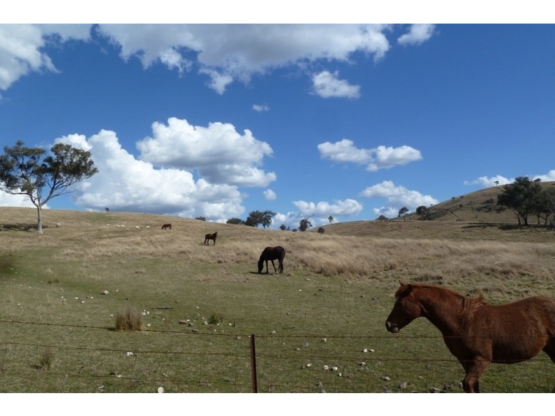 Mudgee NSW 2850