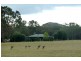 Mudgee NSW 2850