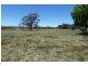Botobolar NSW 2850