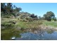 Botobolar NSW 2850