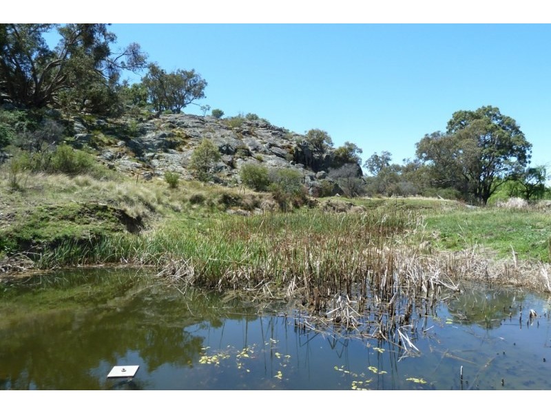 Botobolar NSW 2850