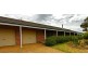 Mudgee NSW 2850