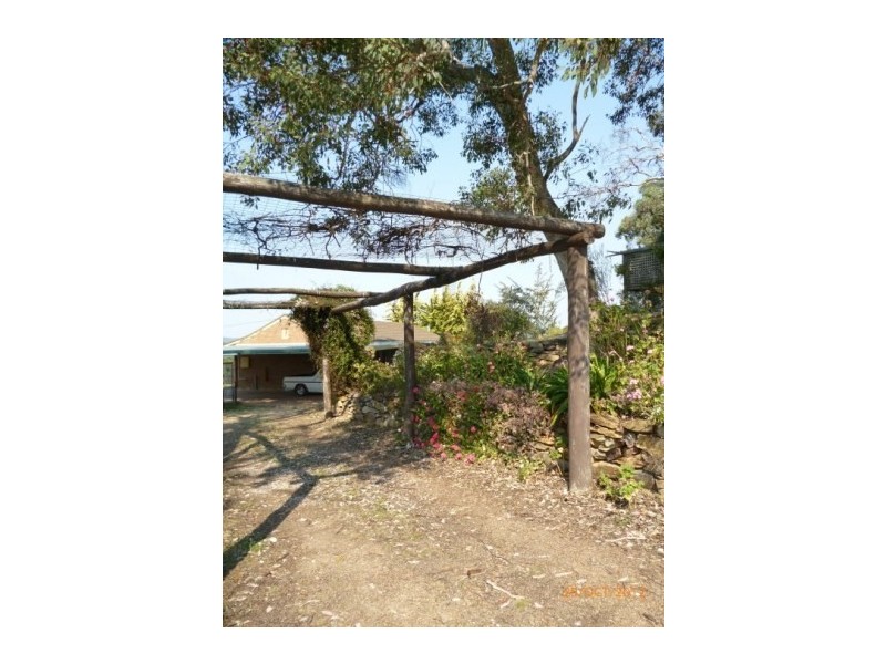 951 Hill End Road, Grattai NSW 2850