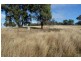 LOTS 81, 8 Lambing Hill Road, Goolma NSW 2852