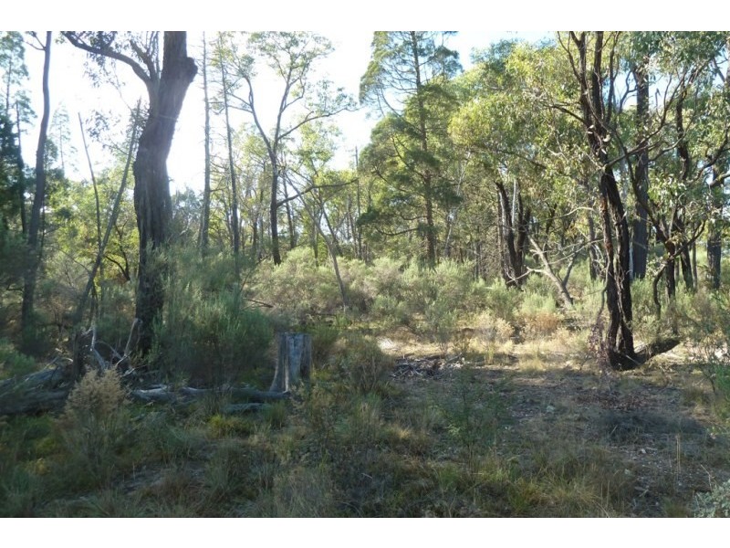 LOTS 81, 8 Lambing Hill Road, Goolma NSW 2852