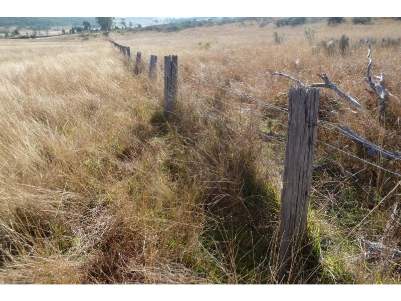 LOTS 81, 8 Lambing Hill Road, Goolma NSW 2852