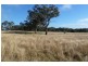 LOTS 81, 8 Lambing Hill Road, Goolma NSW 2852