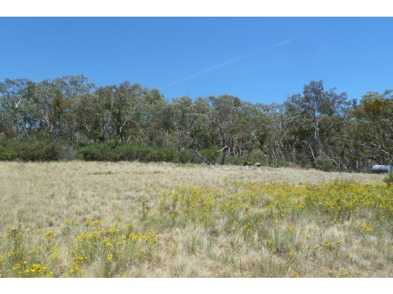 Windeyer NSW 2850